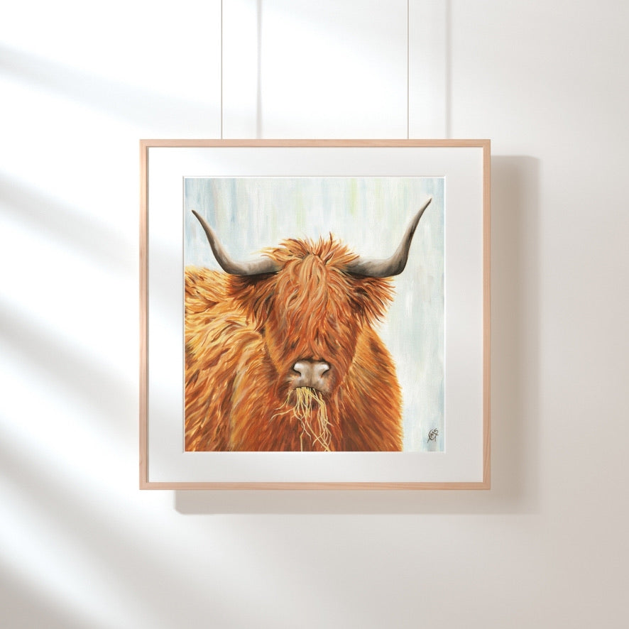 "Highland Coo" Print