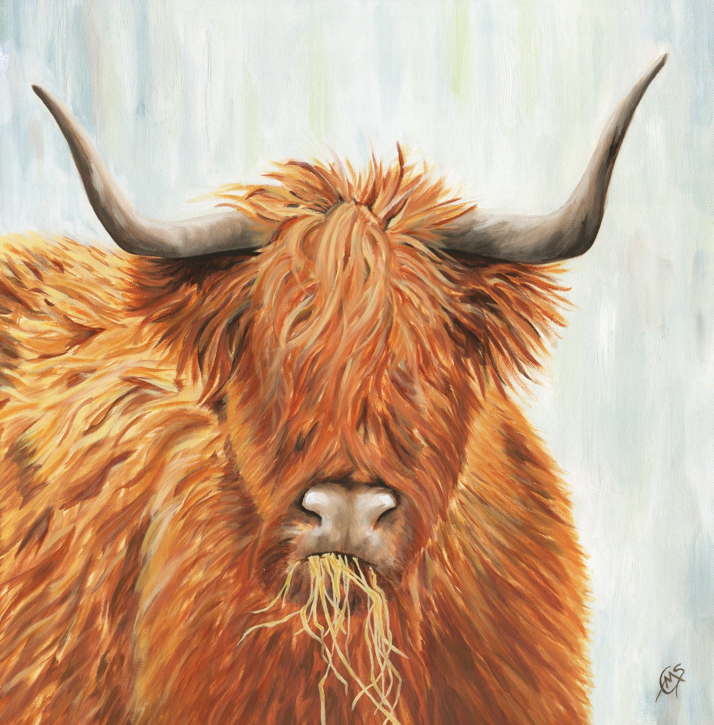 "Highland Coo" Print