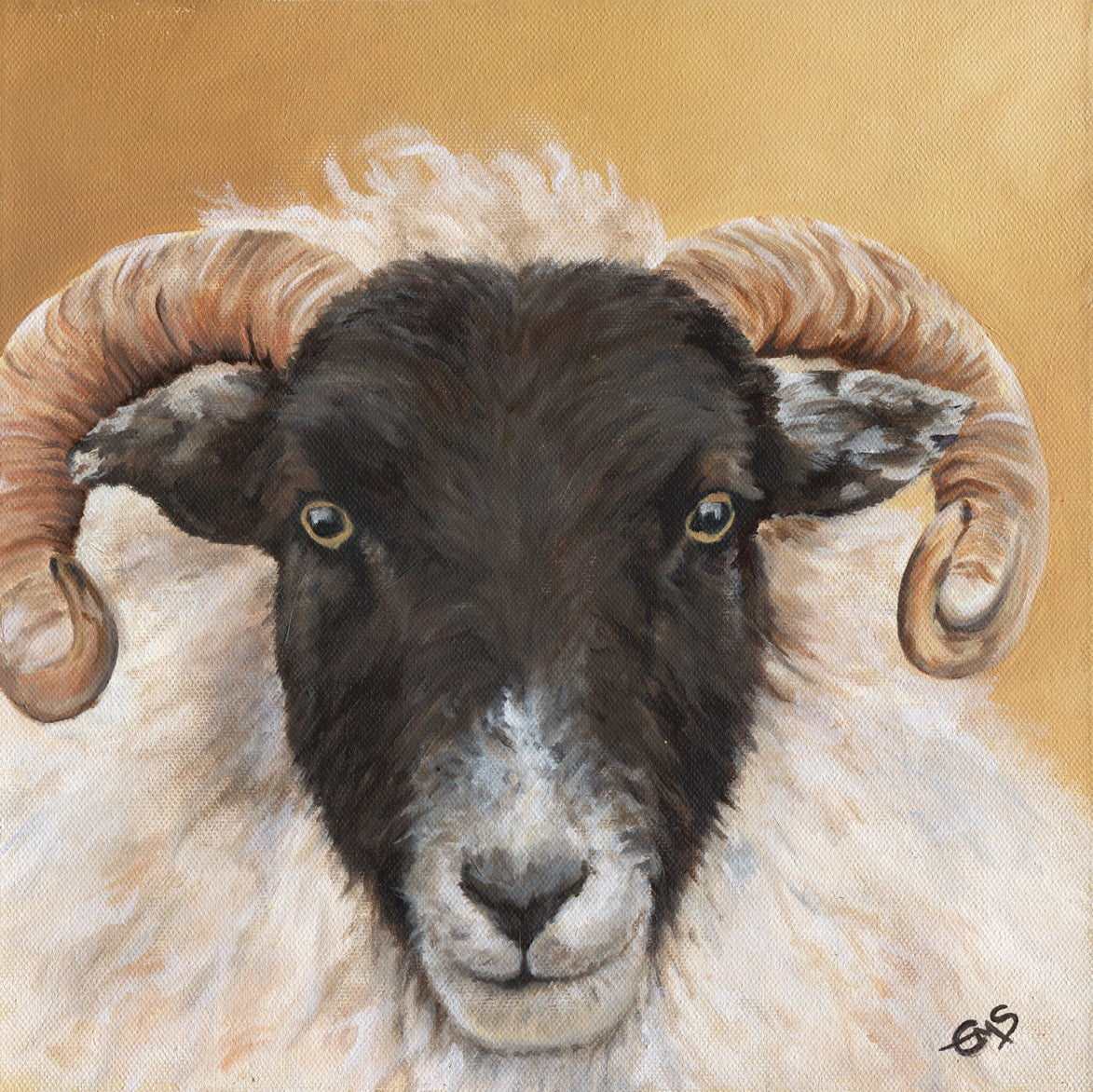 "Ram" Print