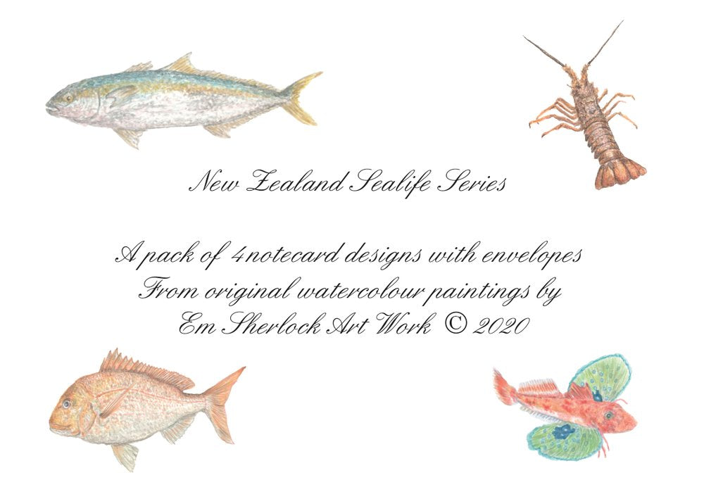 "Sealife Series Notecards"