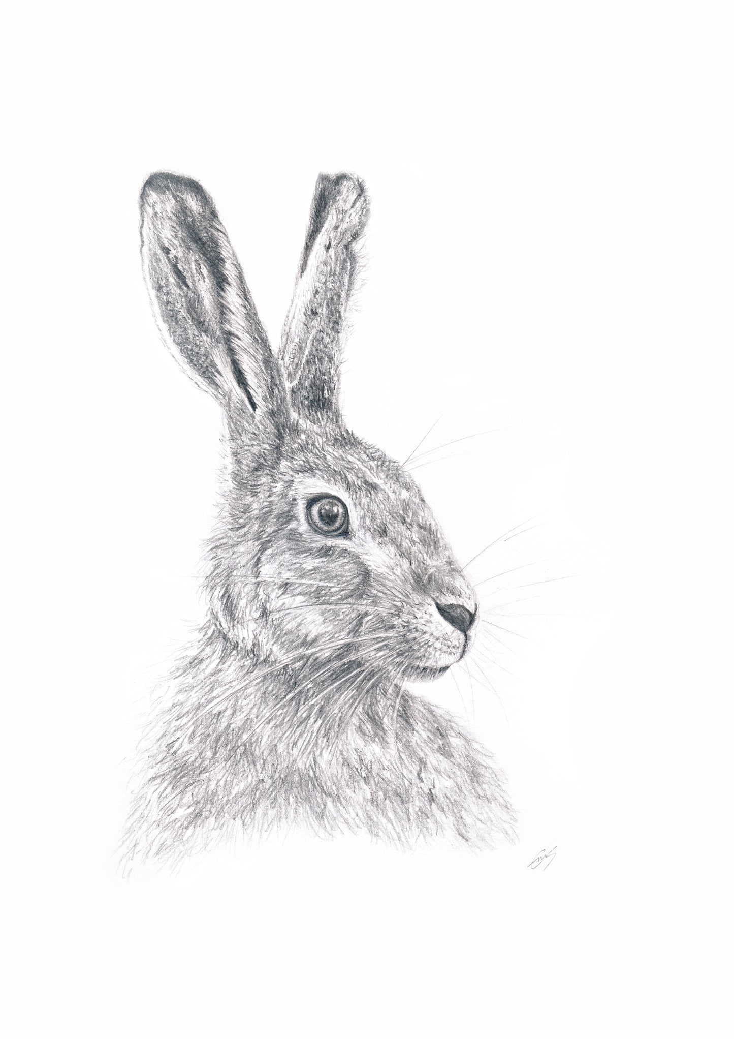 "Hare" Print