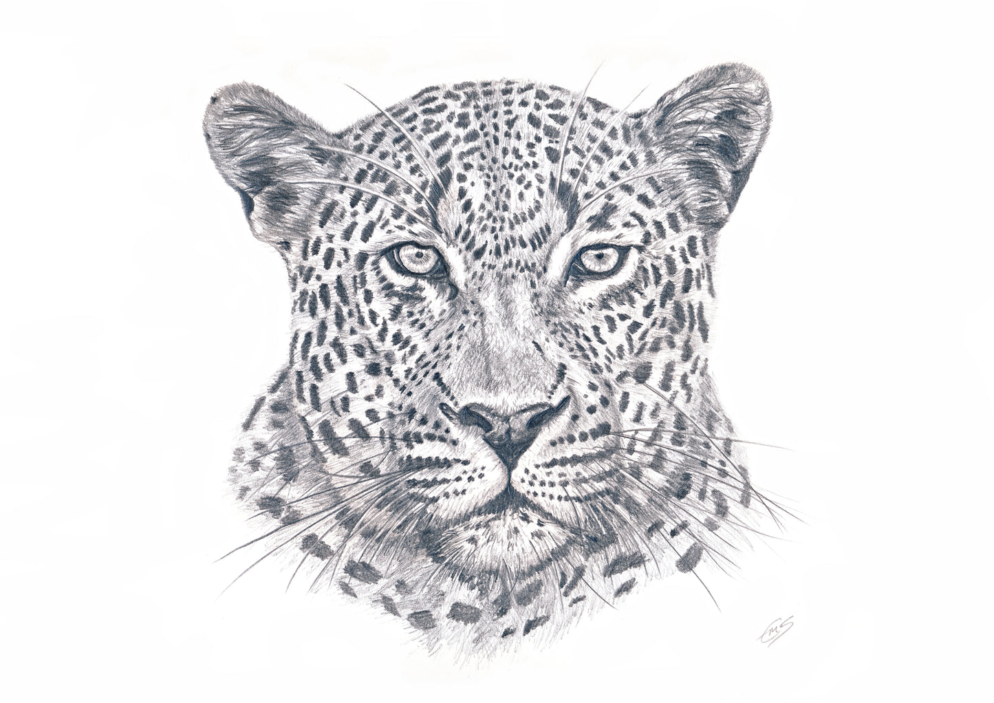 Leopard Print
