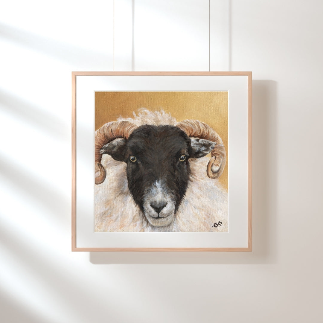 Framed Prints