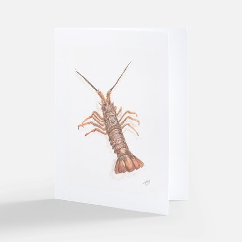 "Crayfish" cards