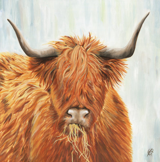 "Highland Coo" Print