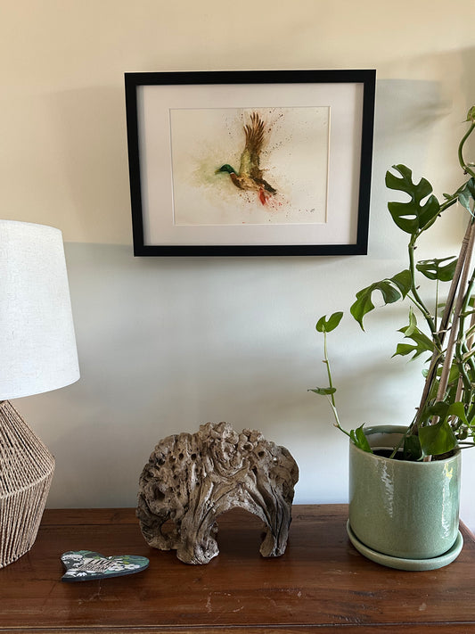 A3 framed "Flying Mallard"