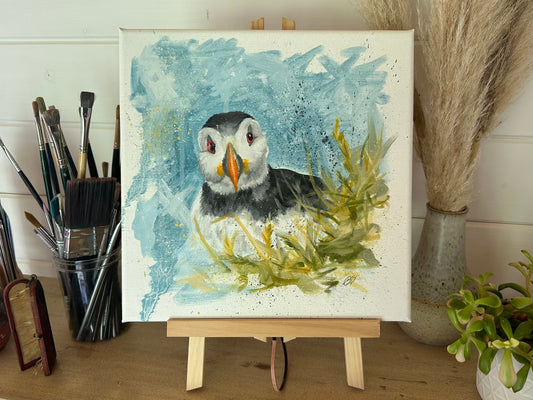"Peeking Puffin"