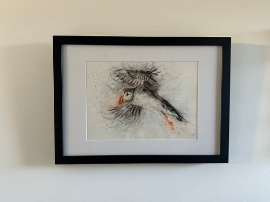 "Puffin Wind"