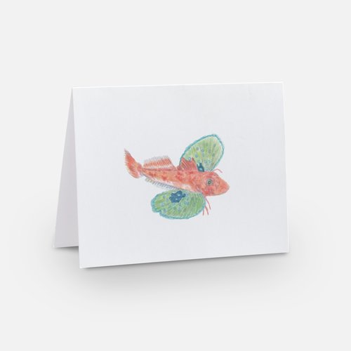 "Red Gurnard" cards
