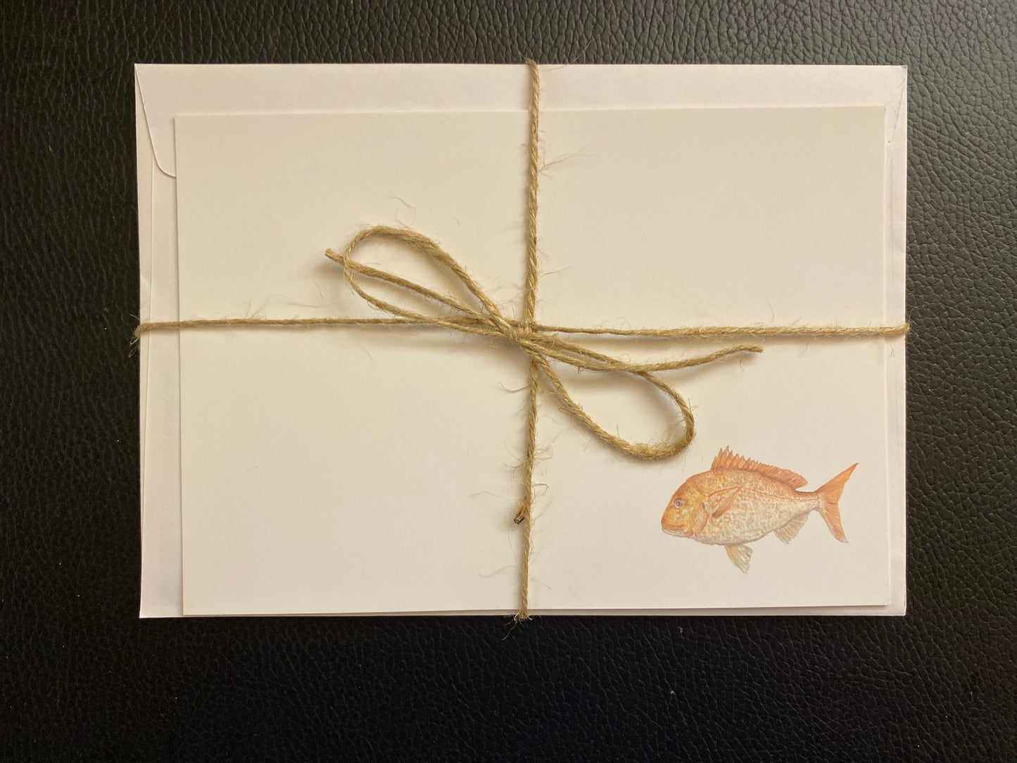 "Sealife Series Notecards"