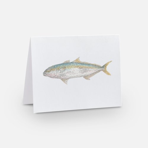 "Yellowtail Kingfish" cards