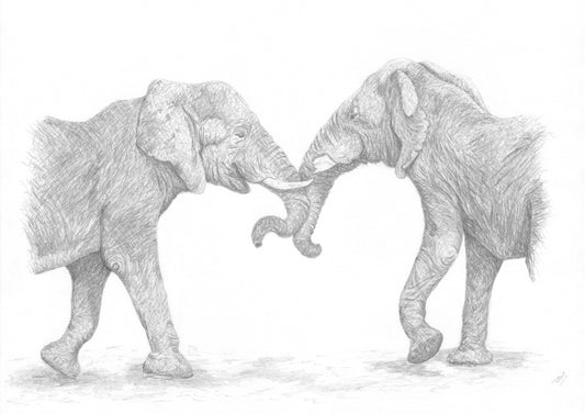 "Elephant's Embrace" Print