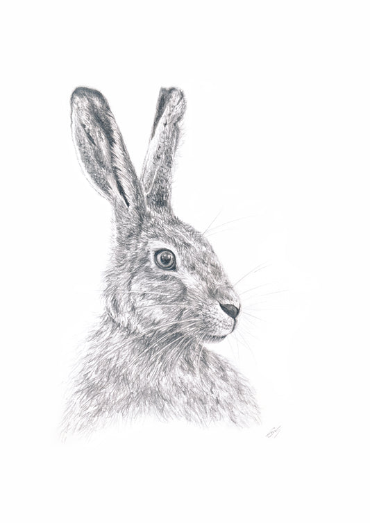 "Hare" Print