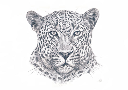 Leopard Print