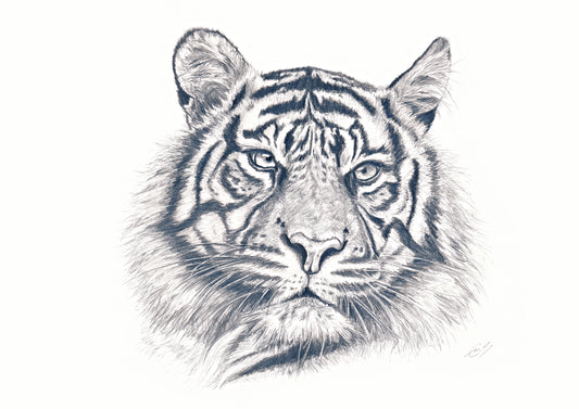 Tiger Print